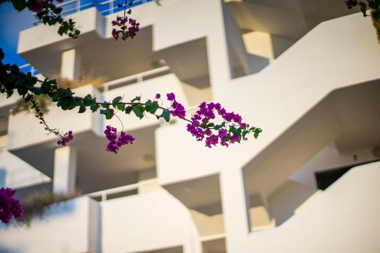Camelina Suites Σαν Αντόνιο Εξωτερικό φωτογραφία