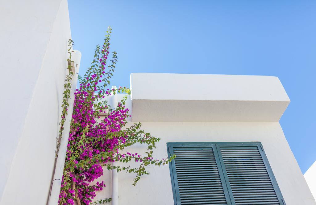 Camelina Suites Σαν Αντόνιο Εξωτερικό φωτογραφία