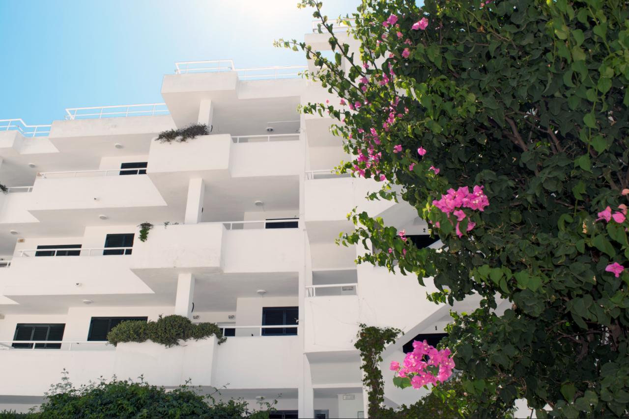 Camelina Suites Σαν Αντόνιο Εξωτερικό φωτογραφία